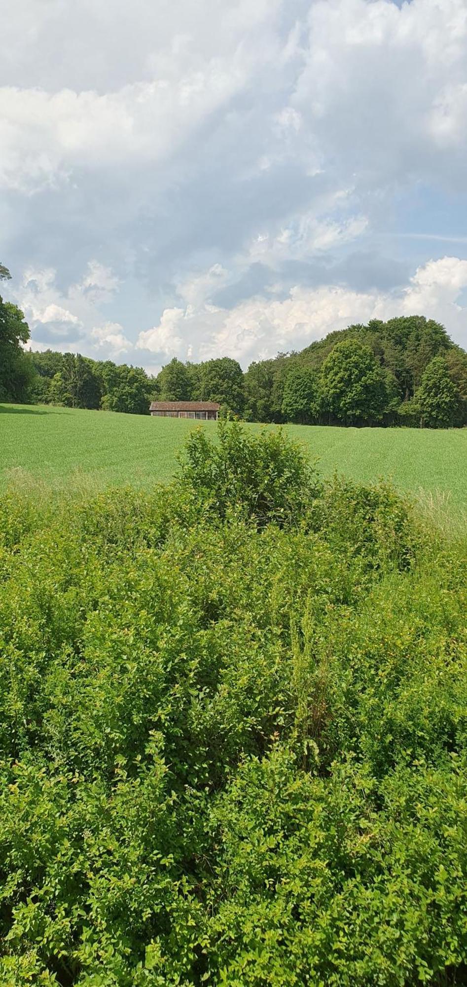 Gasthaus Zum Schneider Pottenstein Eksteriør billede